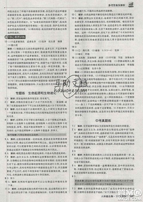 2020新版1加1轻巧夺冠优化训练八年级生物下册人教版答案 2020新版1加1轻巧夺冠优化训练八年级生物下册人教版答案