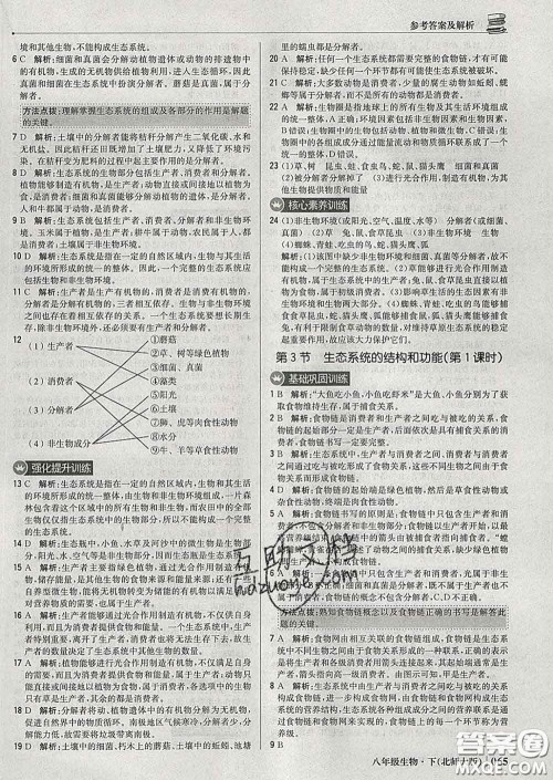 2020新版1加1轻巧夺冠优化训练八年级生物下册北师版答案