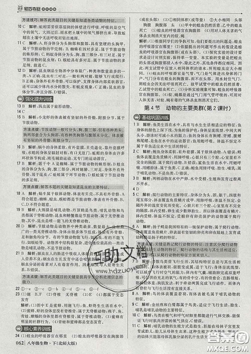 2020新版1加1轻巧夺冠优化训练八年级生物下册北师版答案 2020新版1加1轻巧夺冠优化训练八年级生物下册北师版答案