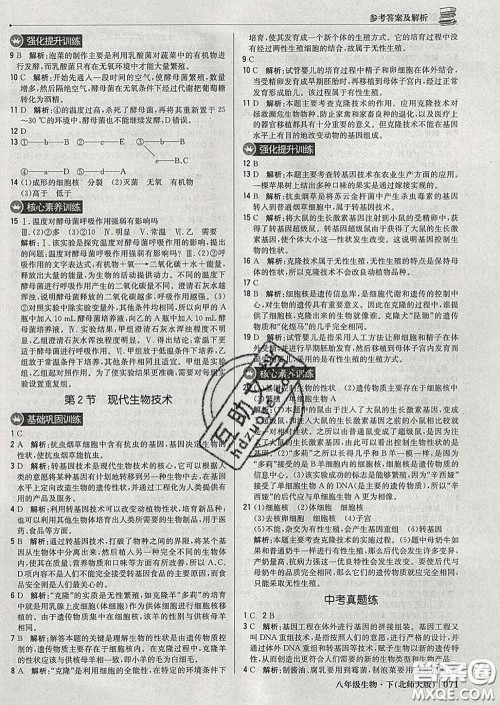 2020新版1加1轻巧夺冠优化训练八年级生物下册北师版答案 2020新版1加1轻巧夺冠优化训练八年级生物下册北师版答案