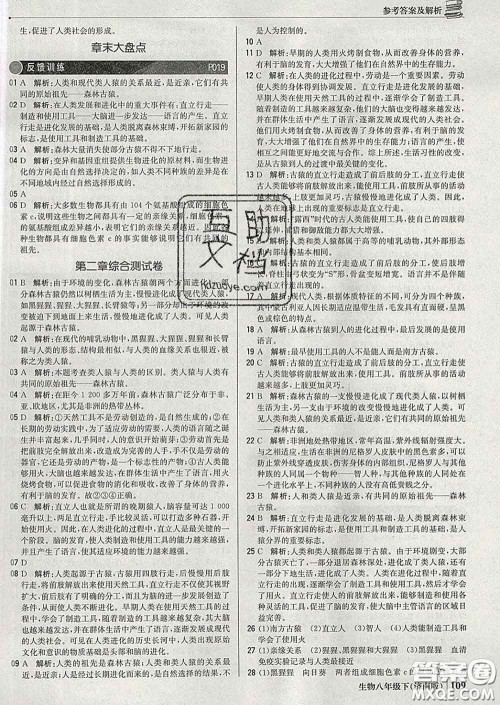 2020新版1加1轻巧夺冠优化训练八年级生物下册济南版答案