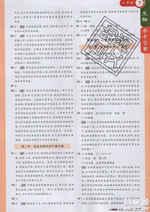 1加1轻巧夺冠课堂直播2020新版七年级生物下册人教版答案