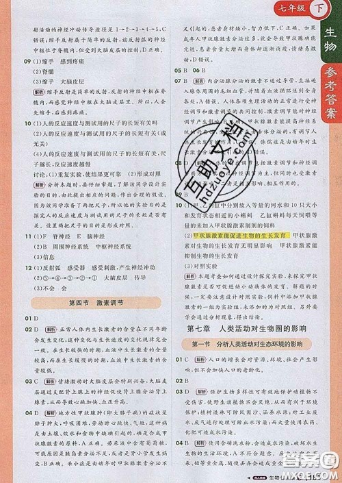 1加1轻巧夺冠课堂直播2020新版七年级生物下册人教版答案