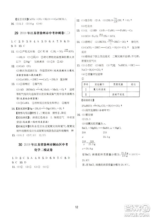2020年实验班提优大考卷化学九年级下册SHJY苏沪教育版参考答案 2020年实验班提优大考卷化学九年级下册SHJY苏沪教育版参考答案