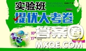 2020年实验班提优大考卷化学九年级下册RMJY人民教育版参考答案