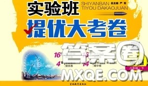 2020年实验班提优大考卷英语八年级下册YL译林版参考答案 2020年实验班提优大考卷英语八年级下册YL译林版参考答案
