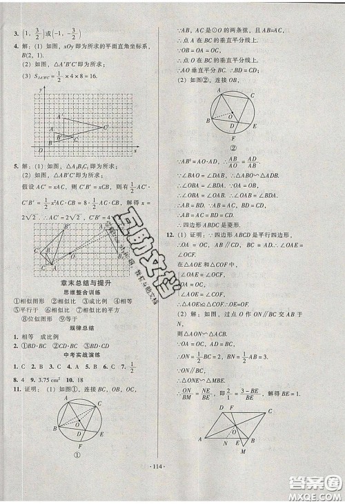 2020年53045模块式训练法九年级数学下册人教版答案