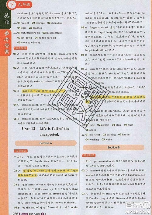 1加1轻巧夺冠课堂直播2020新版九年级英语下册人教版答案