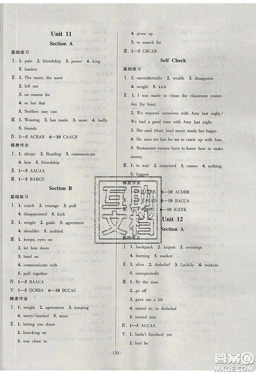 2020年53045模块式训练法九年级英语下册人教版答案