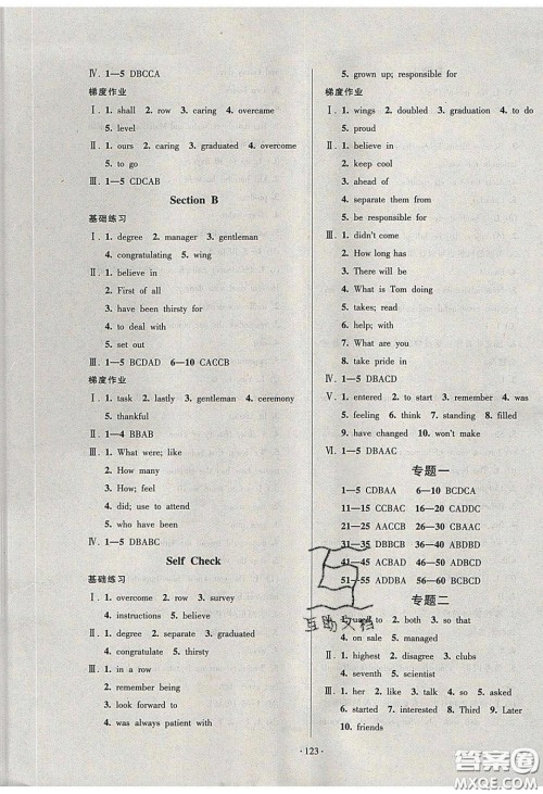 2020年53045模块式训练法九年级英语下册人教版答案