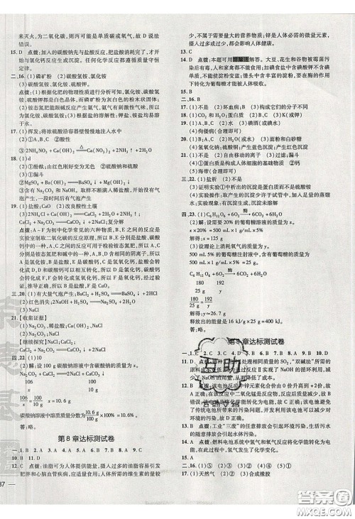 2020荣德基点拨训练九年级化学下册沪教版答案 2020荣德基点拨训练九年级化学下册沪教版答案