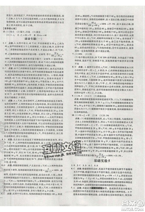 2020荣德基点拨训练九年级化学下册沪教版答案 2020荣德基点拨训练九年级化学下册沪教版答案