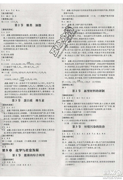 2020荣德基点拨训练九年级化学下册沪教版答案 2020荣德基点拨训练九年级化学下册沪教版答案