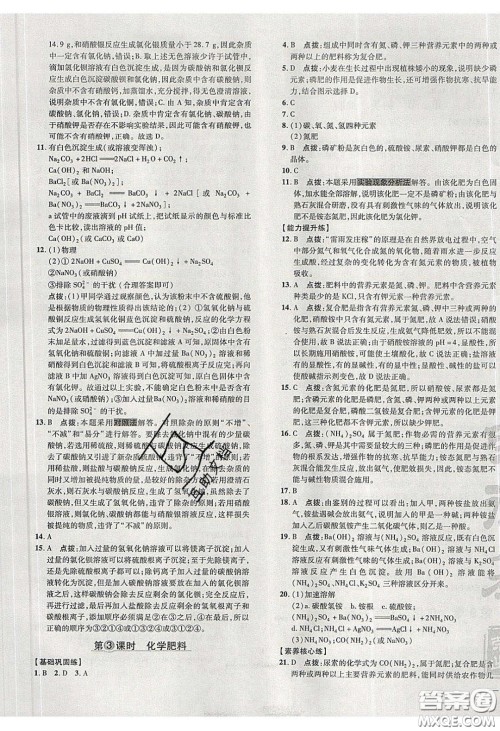 2020荣德基点拨训练九年级化学下册沪教版答案 2020荣德基点拨训练九年级化学下册沪教版答案