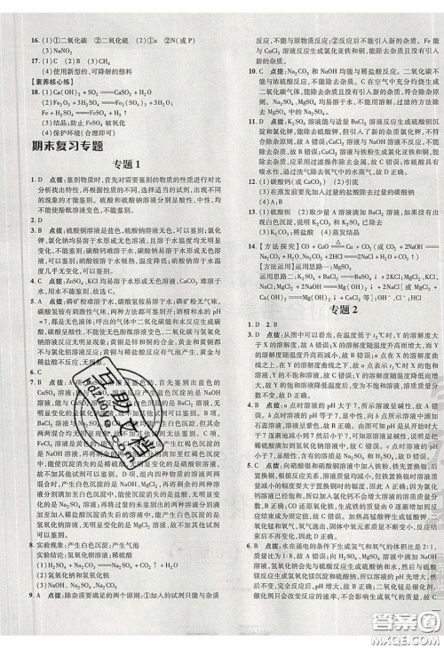 2020荣德基点拨训练九年级化学下册沪教版答案 2020荣德基点拨训练九年级化学下册沪教版答案