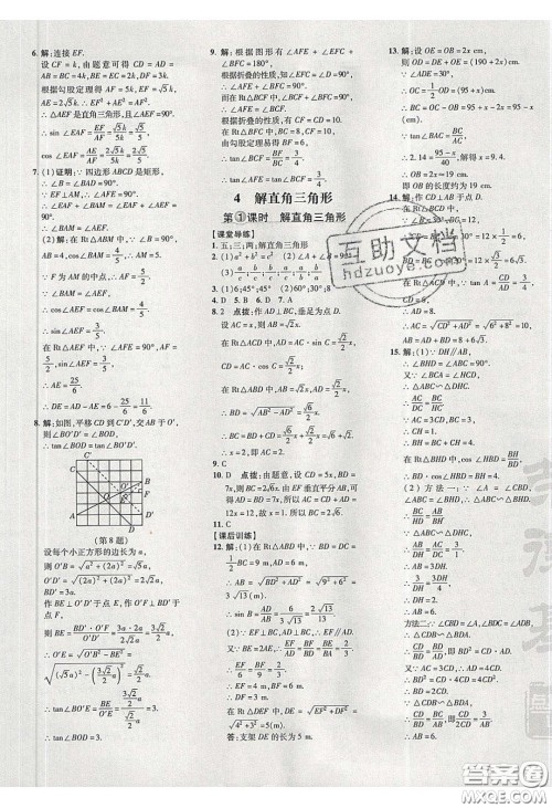 2020荣德基点拨训练九年级数学下册北师大版答案