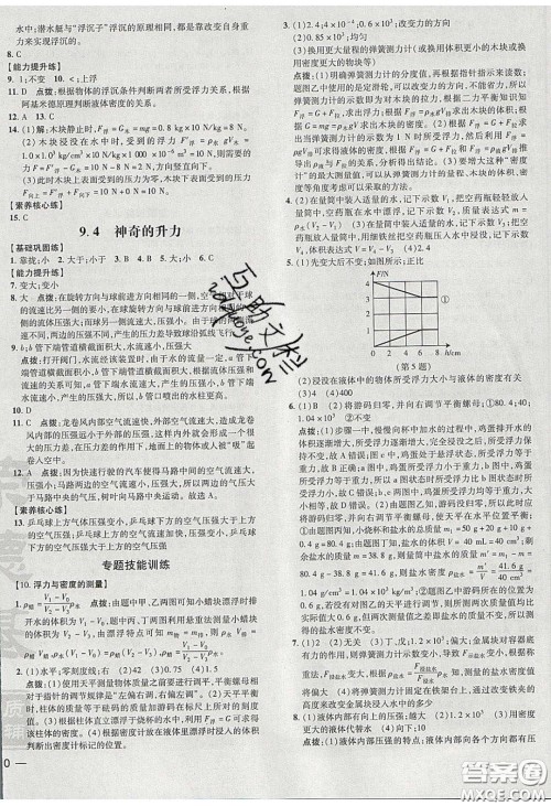 2020荣德基点拨训练八年级物理下册沪粤版安徽专版答案