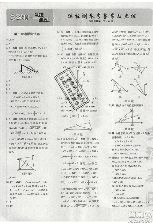 2020荣德基点拨训练八年级数学下册湘教版答案