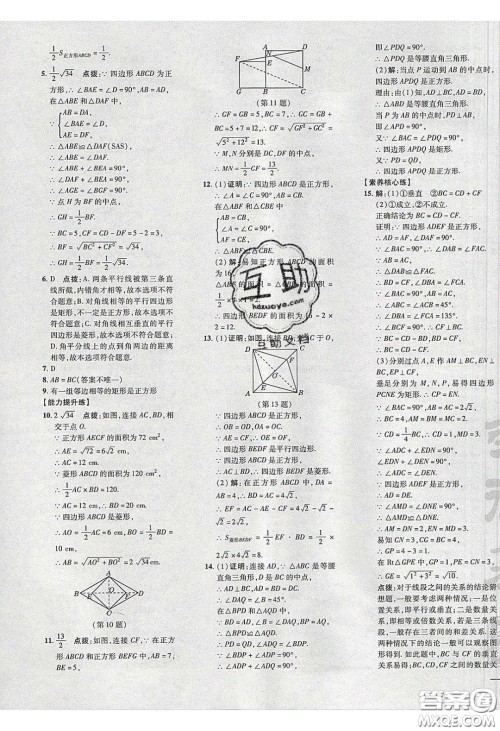 2020荣德基点拨训练八年级数学下册湘教版答案