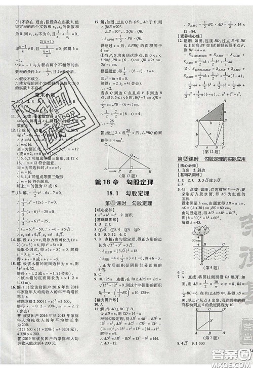 2020荣德基点拨训练八年级数学下册沪科版安徽专用版答案