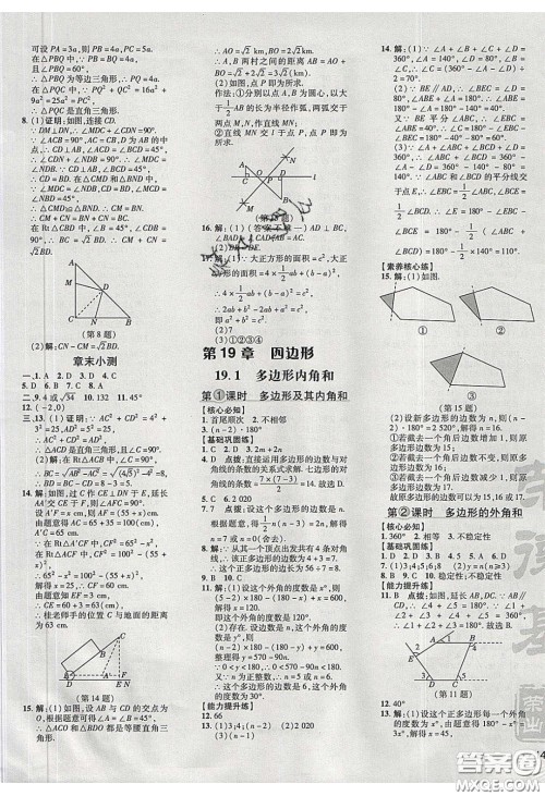 2020荣德基点拨训练八年级数学下册沪科版安徽专用版答案