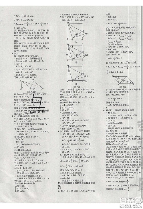 2020荣德基点拨训练八年级数学下册沪科版安徽专用版答案