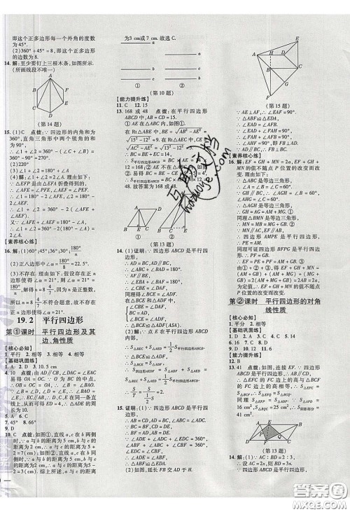 2020荣德基点拨训练八年级数学下册沪科版安徽专用版答案