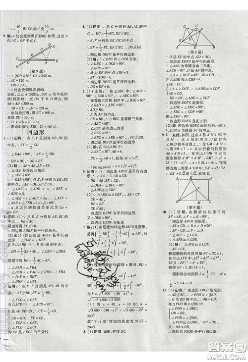 2020荣德基点拨训练八年级数学下册沪科版安徽专用版答案