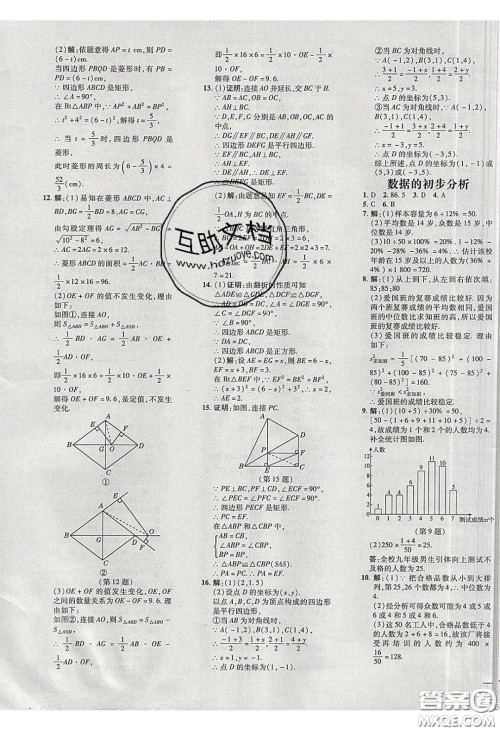 2020荣德基点拨训练八年级数学下册沪科版安徽专用版答案
