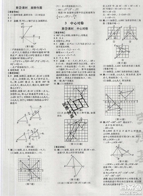 2020荣德基点拨训练八年级数学下册北师大版答案