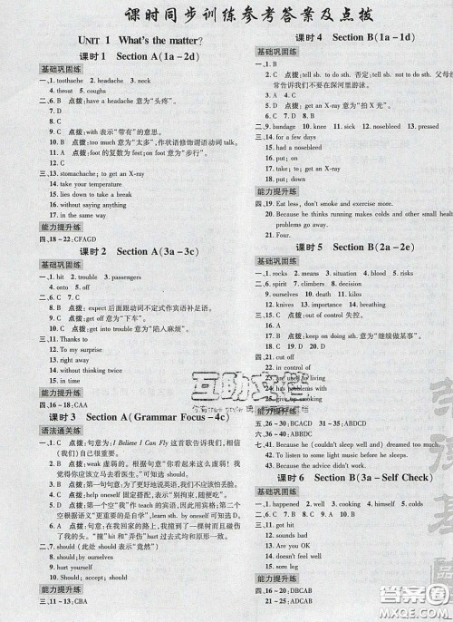 2020荣德基点拨训练八年级英语下册人教版安徽适用答案 2020荣德基点拨训练八年级英语下册人教版安徽适用答案