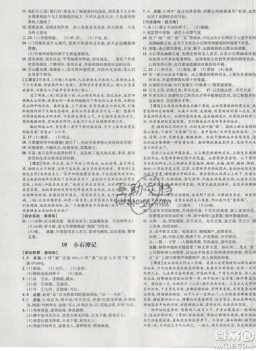 2020荣德基点拨训练八年级语文下册人教版答案 2020荣德基点拨训练八年级语文下册人教版答案