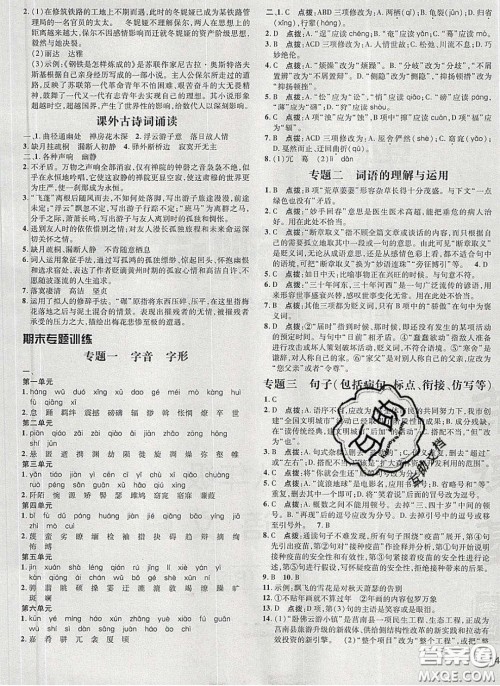 2020荣德基点拨训练八年级语文下册人教版答案 2020荣德基点拨训练八年级语文下册人教版答案