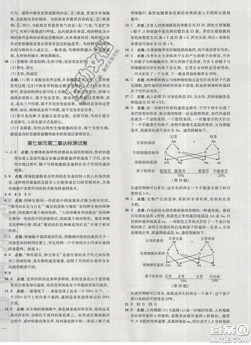 2020荣德基点拨训练八年级生物下册人教版答案