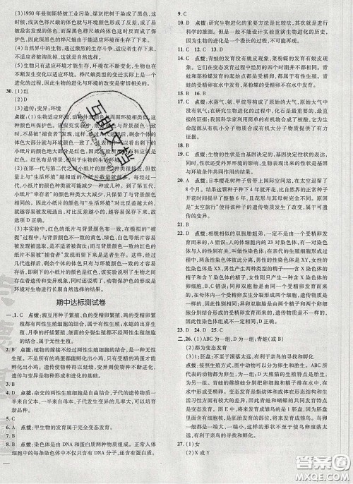2020荣德基点拨训练八年级生物下册人教版答案
