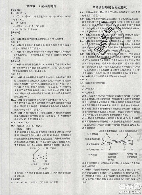 2020荣德基点拨训练八年级生物下册人教版答案