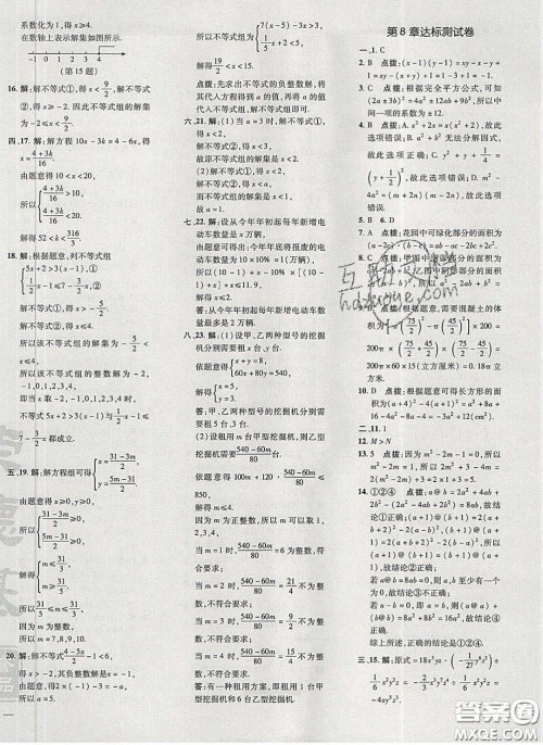 2020荣德基点拨训练七年级数学下册沪科版安徽专版答案