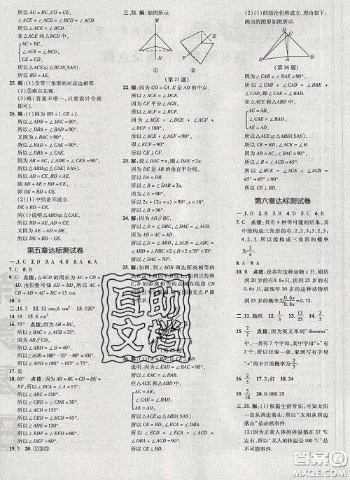 2020荣德基点拨训练七年级数学下册北师大版答案