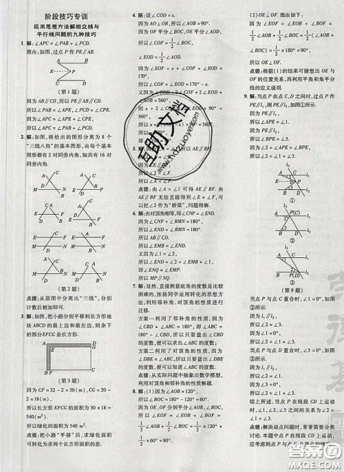 2020荣德基点拨训练七年级数学下册北师大版答案