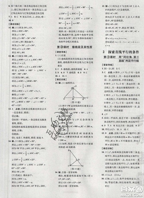 2020荣德基点拨训练七年级数学下册北师大版答案