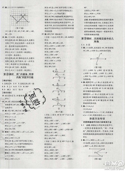 2020荣德基点拨训练七年级数学下册北师大版答案