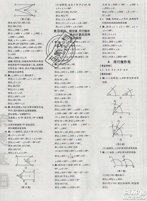 2020荣德基点拨训练七年级数学下册北师大版答案