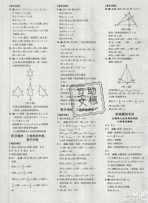 2020荣德基点拨训练七年级数学下册北师大版答案