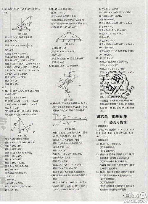 2020荣德基点拨训练七年级数学下册北师大版答案