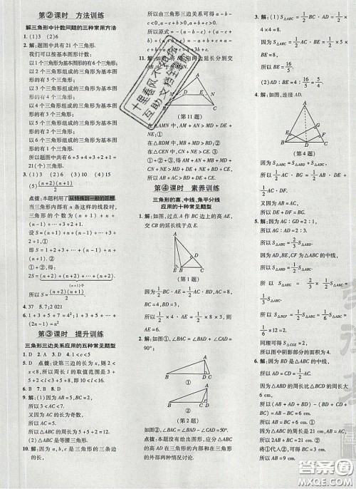 2020荣德基点拨训练七年级数学下册北师大版答案