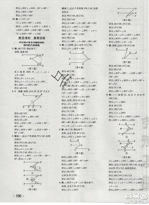 2020荣德基点拨训练七年级数学下册北师大版答案