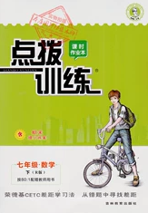 2020荣德基点拨训练七年级数学下册北师大版答案