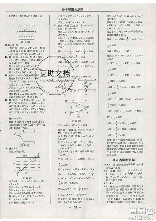 2020春综合应用创新题典中点七年级数学下册沪科版答案