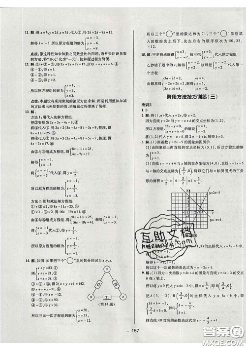 2020春综合应用创新题典中点七年级数学下册鲁教版五四制答案