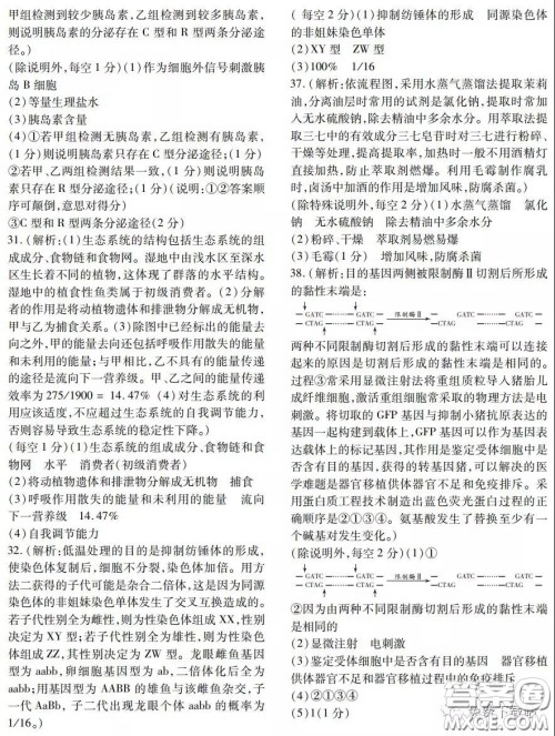 金学导航2020届高三模拟卷理科综合答案 金学导航2020届高三模拟卷理科综合答案